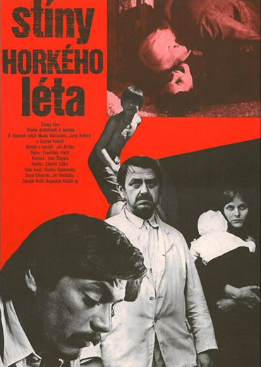 Stíny horkého léta