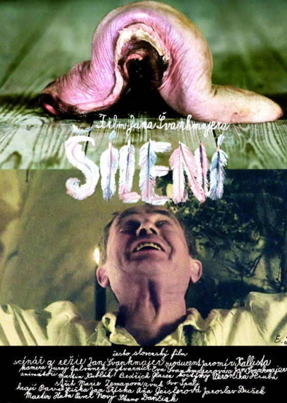 Šílení with english subtitles Lunacy with english subtitles